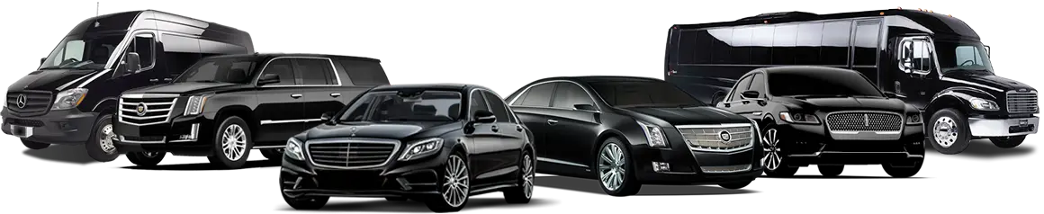 The Denver Majestic Limousines fleet: Sprinter van, SUV, sedan, and stretch limousine