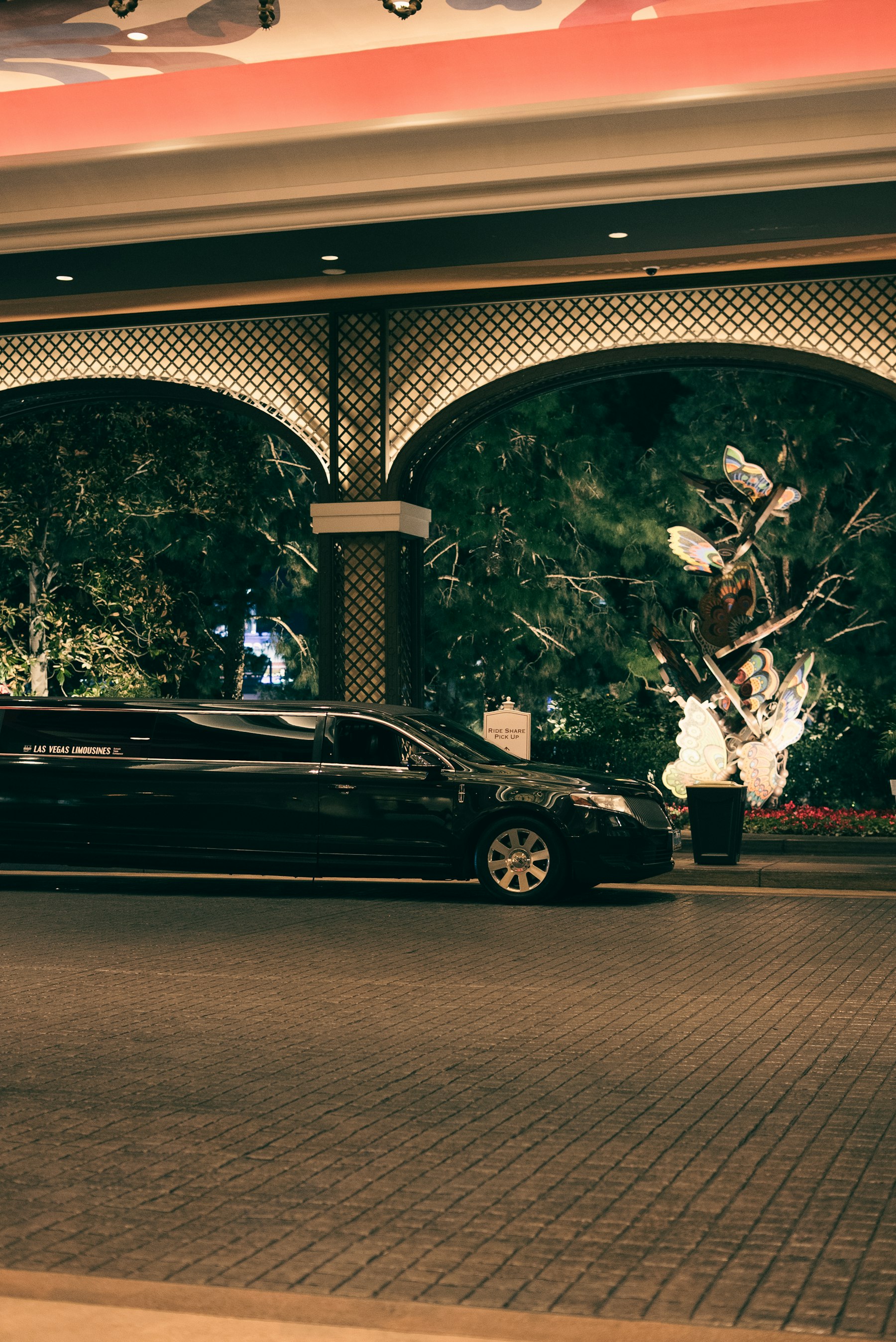Luxury Stretch Limo